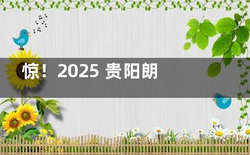 惊！2025 贵阳朗朗口腔收费曝光，进口种植牙 2980 元起，洗牙仅 40 元起！